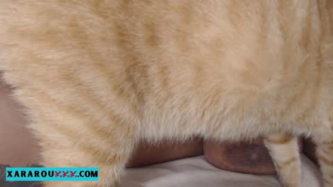       S A R A      100K followers online show from 01-13-25, 11:27