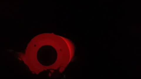 xbb3699 online show from 04-12-26, 04:56