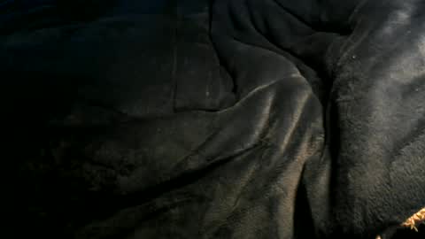 Toke online show from 01-06-25, 12:35