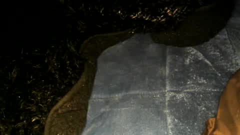 Toke online show from 01-22-25, 09:57