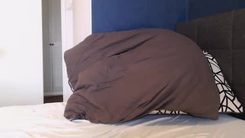 Snapshot of xhotfanx chatting on 01-01-25, 11:05 xhotfanx online show from 01-01-25, 11:05