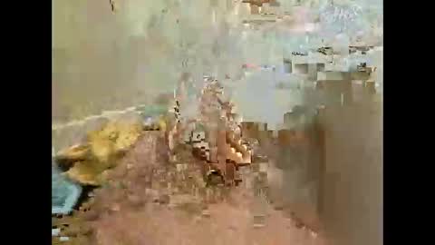 Snapshot of xmark99 chatting on 11-27-25, 04:53 Jj880 online show from 11-27-25, 04:53