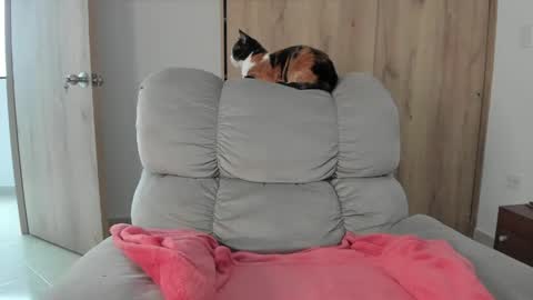 Hellen Sofia instagram hellen5546 online show from 05-09-26, 07:41