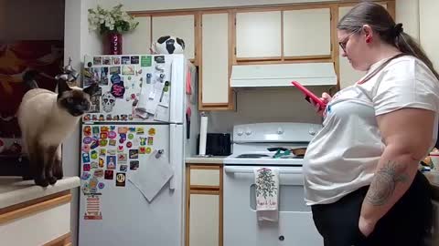 Strawberry Jane online show from 12-14-24, 05:07