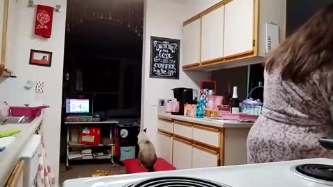 Strawberry Jane online show from 02-03-26, 04:23