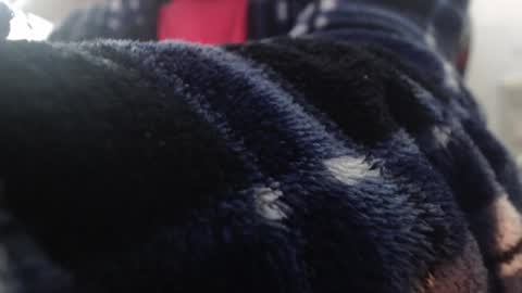 Snapshot of xxxking89 chatting on 02-01-25, 04:00 xxxking89 online show from 02-01-25, 04:00