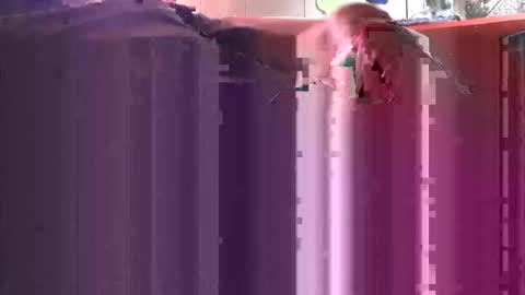 yangolox3 online show from 10-04-25, 05:00