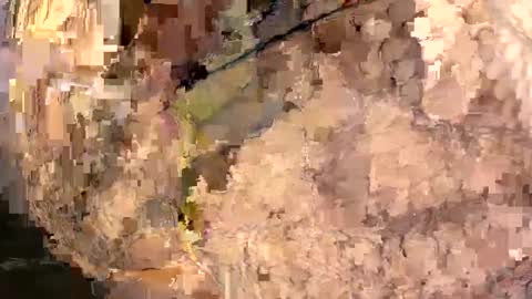Snapshot of yasminfol chatting on 03-01-25, 02:26 yasminfol online show from 03-01-25, 02:26