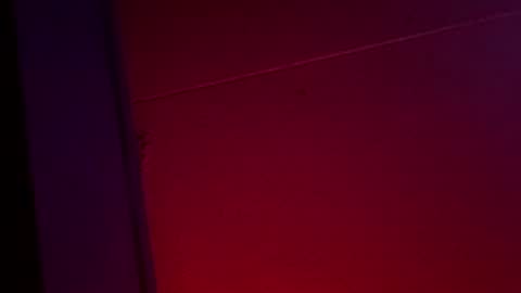 Ella Ts online show from 12-01-25, 10:42