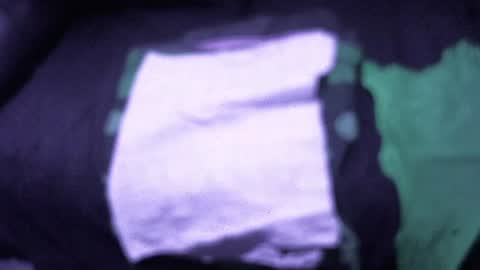 .     y e l l o w s n a k e s       . online show from 12-15-25, 04:00