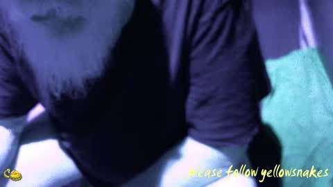 .     y e l l o w s n a k e s       . online show from 12-18-25, 01:28