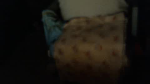 .     y e l l o w s n a k e s       . online show from 01-06-26, 09:24