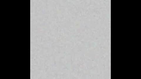 .     y e l l o w s n a k e s       . online show from 03-04-26, 11:38