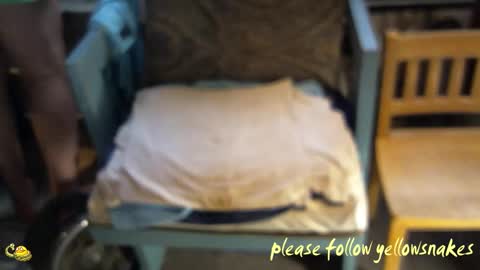 .     y e l l o w s n a k e s       . online show from 03-05-26, 03:08