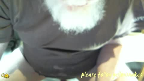 .     y e l l o w s n a k e s       . online show from 04-19-26, 06:10