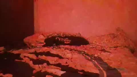 Snapshot of yeshuaaa999 chatting on 11-26-25, 08:37 yeshuaaa999 online show from 11-26-25, 08:37