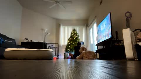 Palmela Handerson online show from 12-18-24, 11:40