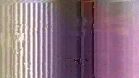 yorel64 online show from 02-16-25, 06:10