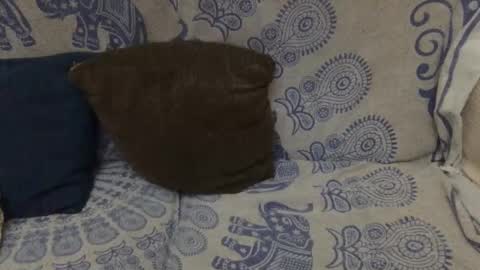 AlexBlack online show from 01-11-26, 11:54