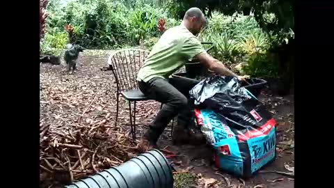 youllfall4me online show from 11-17-25, 01:33