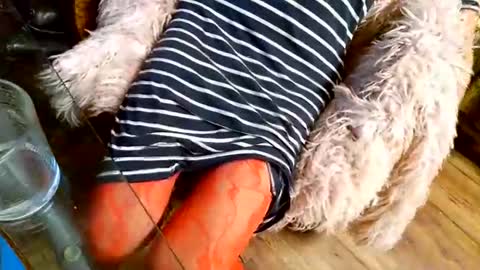 Snapshot of your_dog chatting on 12-01-25, 04:39 Taylor Tash online show from 12-01-25, 04:39