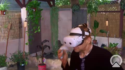 Sophiestar online show from 03-01-25, 08:56