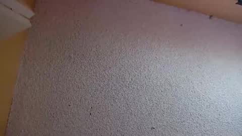 Sophiestar online show from 03-05-26, 07:21