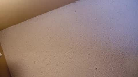 Sophiestar online show from 04-21-26, 07:36