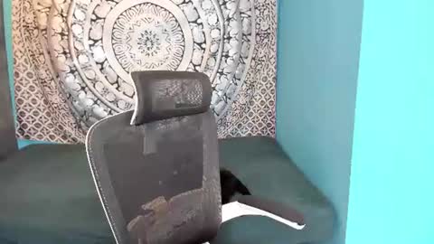 YourVenus00 -Follow my OF online show from 07-02-26, 11:38