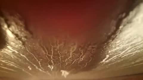 Snapshot of youth505 chatting on 12-05-25, 02:20 youth505 online show from 12-05-25, 02:20