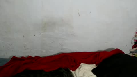 Snapshot of yummytittsxx chatting on 03-02-26, 03:09 yummytittsxx online show from 03-02-26, 03:09