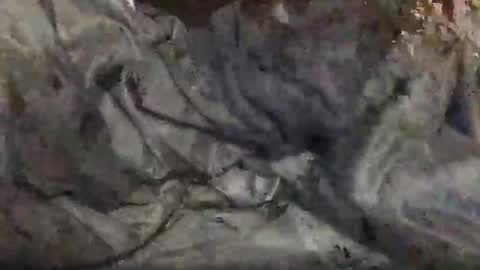 yungin470 online show from 02-25-26, 08:46