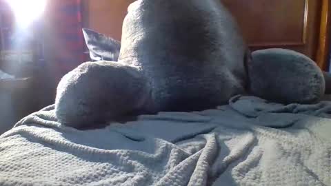 Fire 0range kush online show from 12-19-25, 10:28