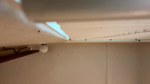 yungstudbev online show from 03-01-26, 12:40