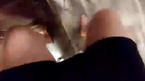 yupthatshim online show from 02-14-25, 04:58