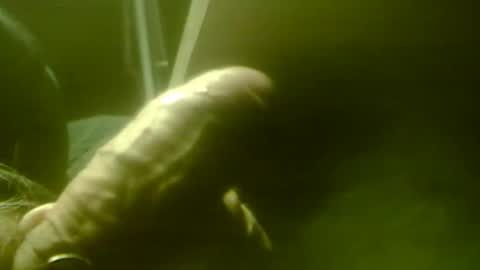 Snapshot of zaboski4 chatting on 12-01-25, 08:52 zaboski4 online show from 12-01-25, 08:52