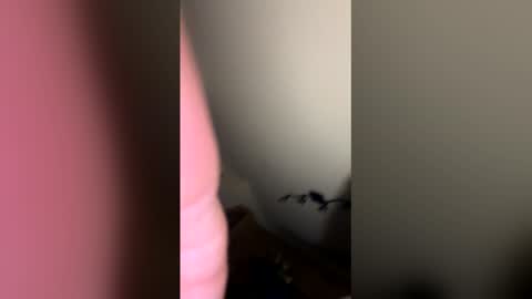 Snapshot of zachmurphbigboy chatting on 03-01-26, 03:41 zachmurphbigboy online show from 03-01-26, 03:41