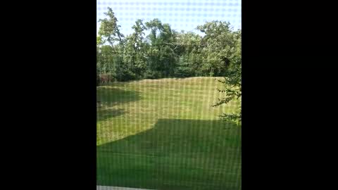 zack online show from 09-08-25, 08:41