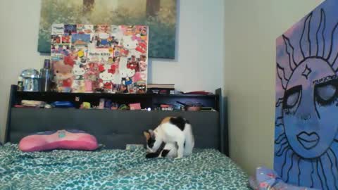 Snapshot of zaddyslilslutbucket chatting on 09-13-25, 10:20 zaddyslilslutbucket online show from 09-13-25, 10:20