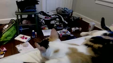 Snapshot of zaddyslilslutbucket chatting on 12-16-25, 10:04 zaddyslilslutbucket online show from 12-16-25, 10:04