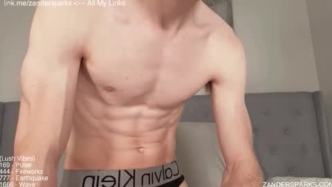Snapshot of zandersparks chatting on 11-15-25, 01:03 Zander Sparks online show from 11-15-25, 01:03
