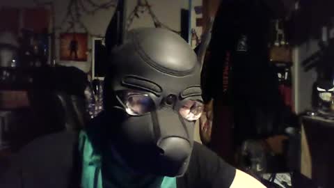 ZanePup online show from 06-29-26, 07:47