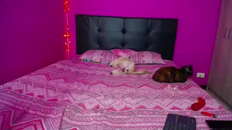 ZARA ANYELINA online show from 12-14-24, 12:33