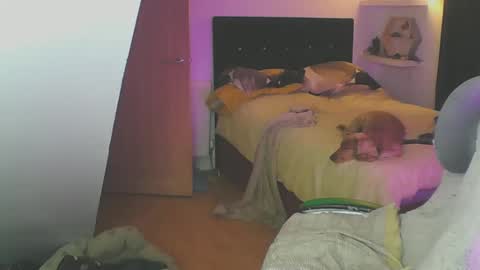 Snapshot of zedbooy chatting on 01-19-25, 06:10 Zed online show from 01-19-25, 06:10