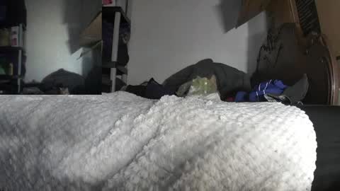 Snapshot of zeibud chatting on 07-20-26, 03:36 Cass online show from 07-20-26, 03:36