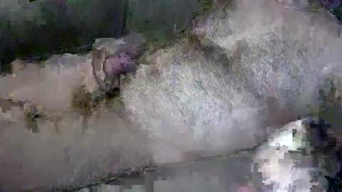 zepincam online show from 10-13-25, 05:18