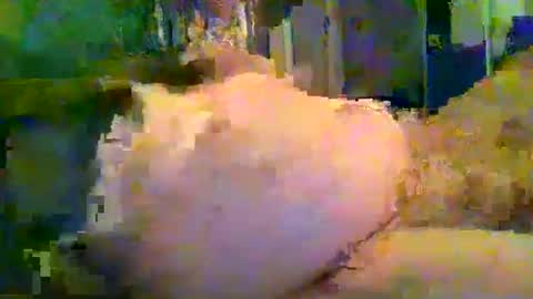 zero0zero123 online show from 09-27-25, 09:53