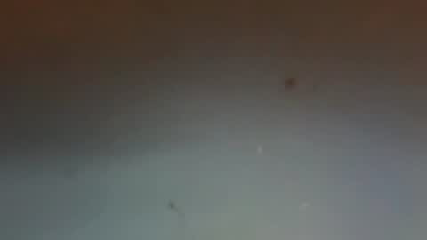 Snapshot of zervale chatting on 08-08-26, 10:12 zervale online show from 08-08-26, 10:12