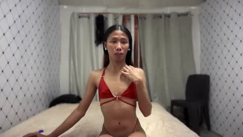 Zinnia nics online show from 11-08-25, 06:57