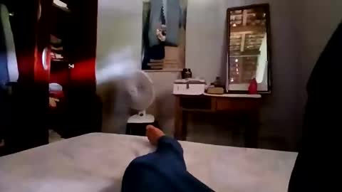 zitojose73 online show from 11-04-25, 05:12